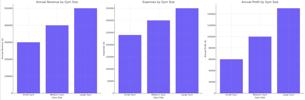 Average Gym Financial Performance by Size