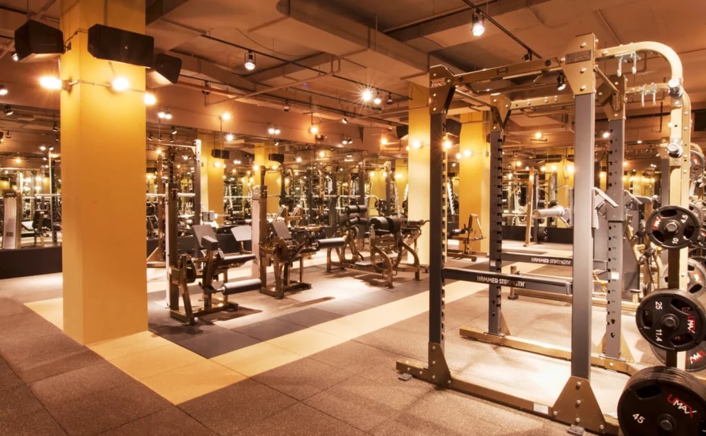 Gym Design Ideas