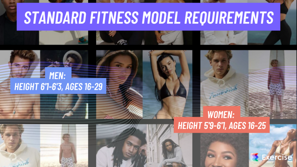 Standard Fitness Model Requirements